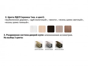 Шкаф-купе Акцент-Сим Д 1200-600 шимо светлый в Урае - uraj.magazinmebel.ru | фото - изображение 3